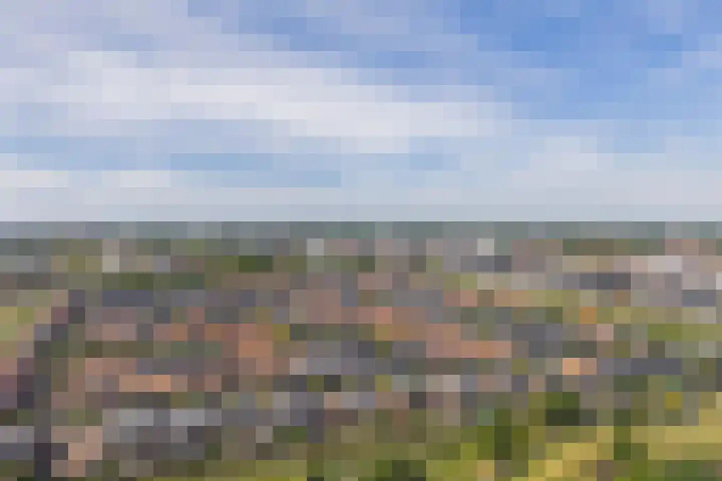 Hongerlandsedijk 1414 Spijkenisse thumbnail 40