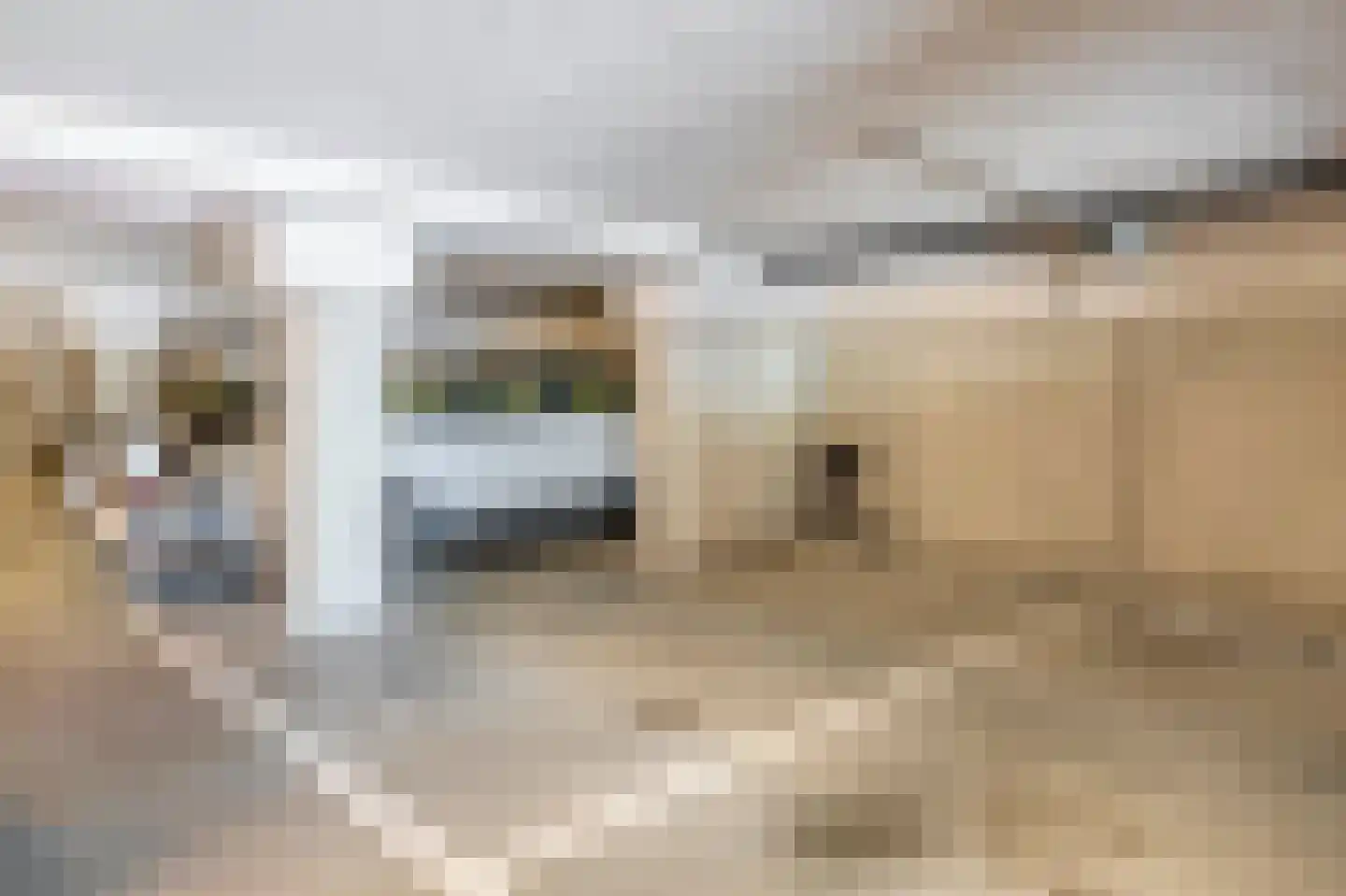 Hongerlandsedijk 1414 Spijkenisse thumbnail 41