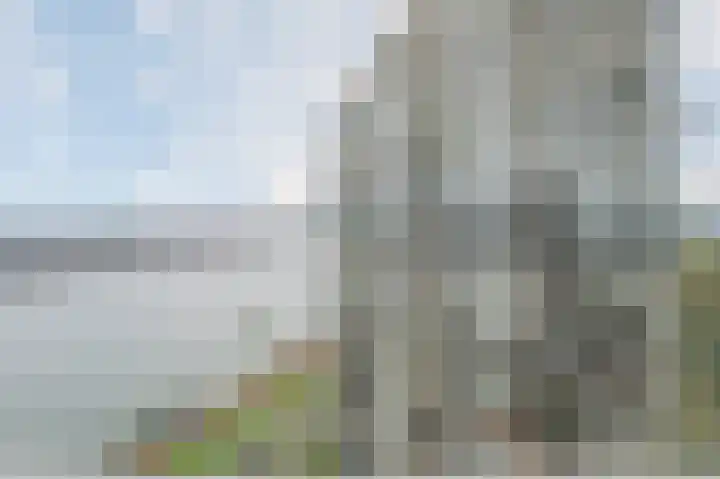 Hongerlandsedijk 1428 Spijkenisse thumbnail 19