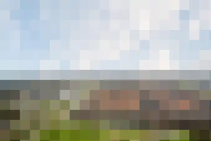 Hongerlandsedijk 1428 Spijkenisse thumbnail 20