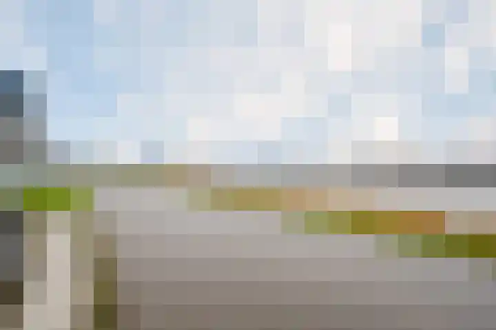Hongerlandsedijk 1428 Spijkenisse thumbnail 6