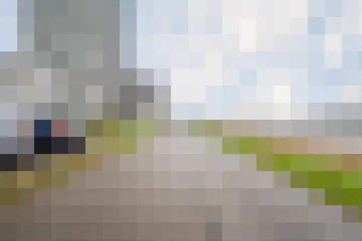 Hongerlandsedijk 1428 Spijkenisse thumbnail 7