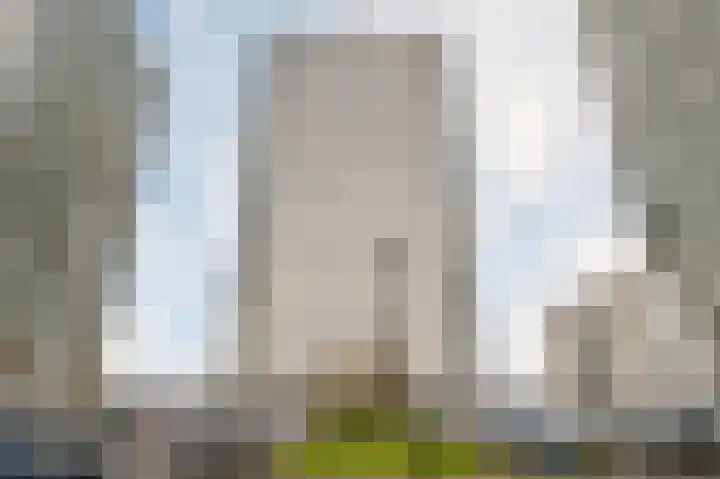 Hongerlandsedijk 1428 Spijkenisse thumbnail 9