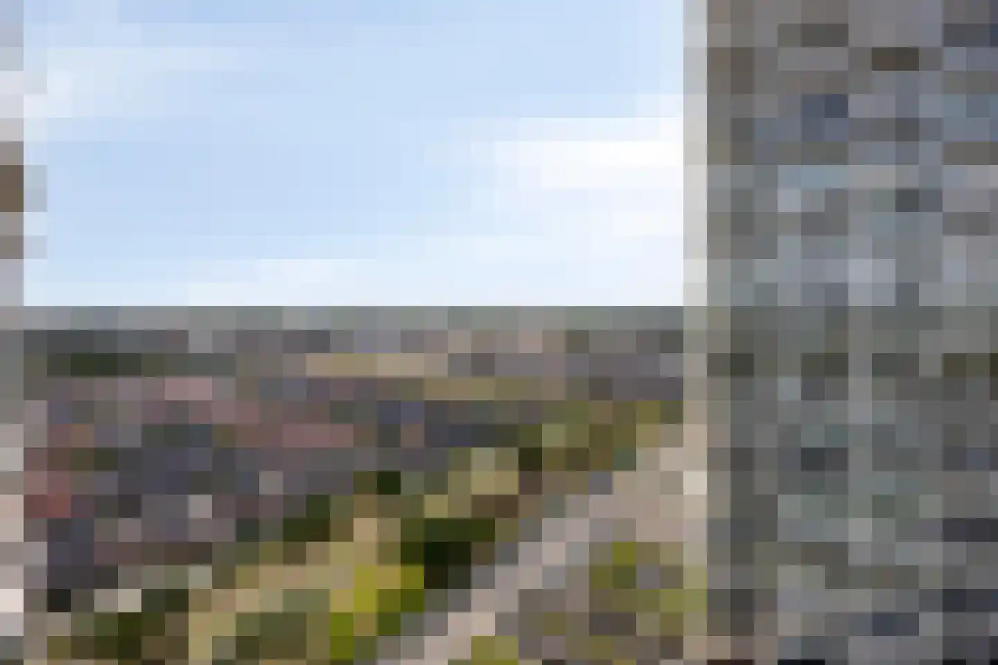 Hongerlandsedijk 1432 Spijkenisse thumbnail 33