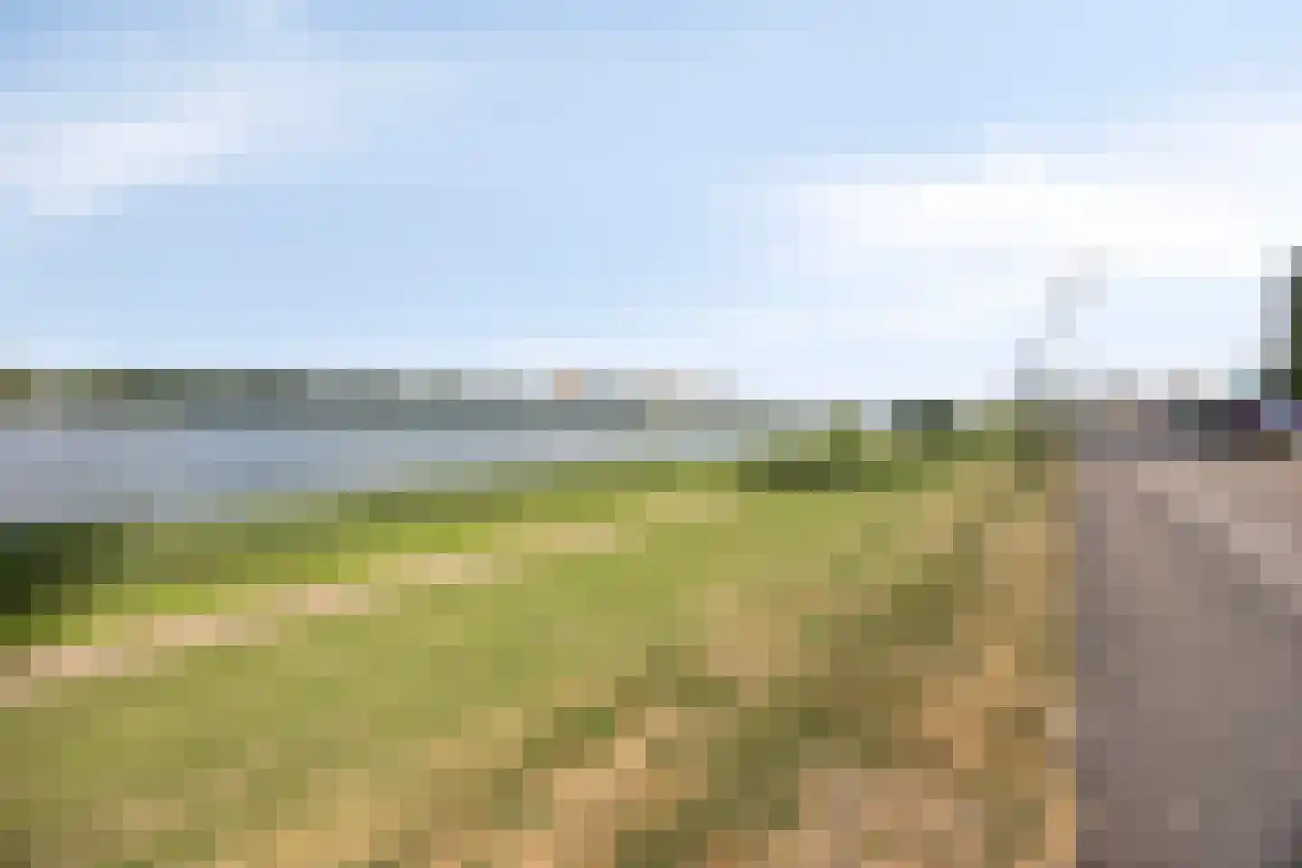 Hongerlandsedijk 1432 Spijkenisse thumbnail 40