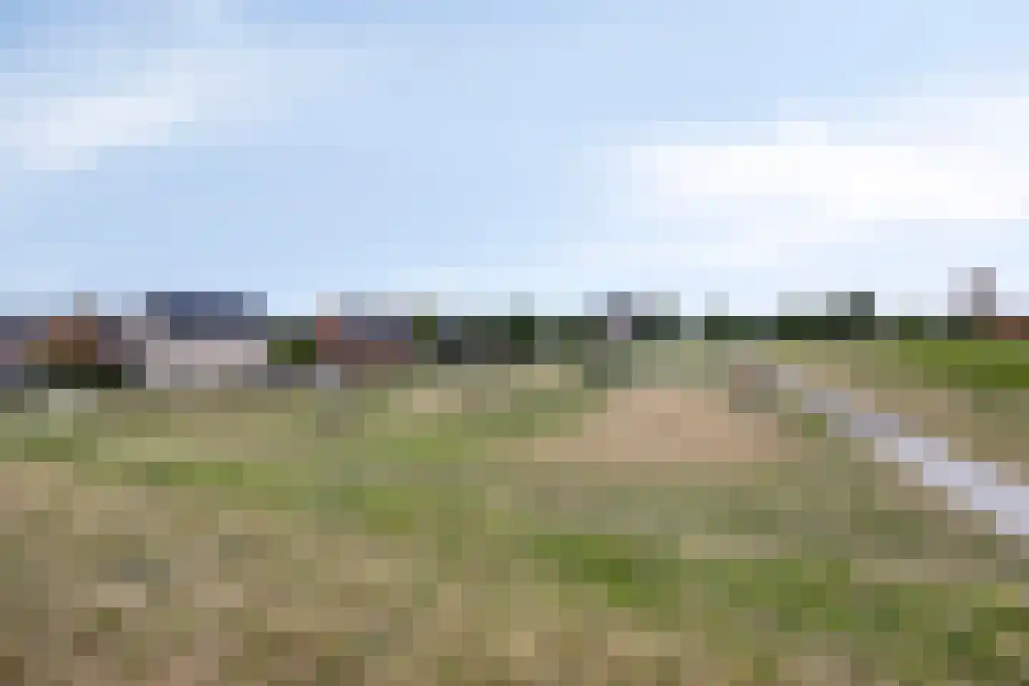 Hongerlandsedijk 1432 Spijkenisse thumbnail 42