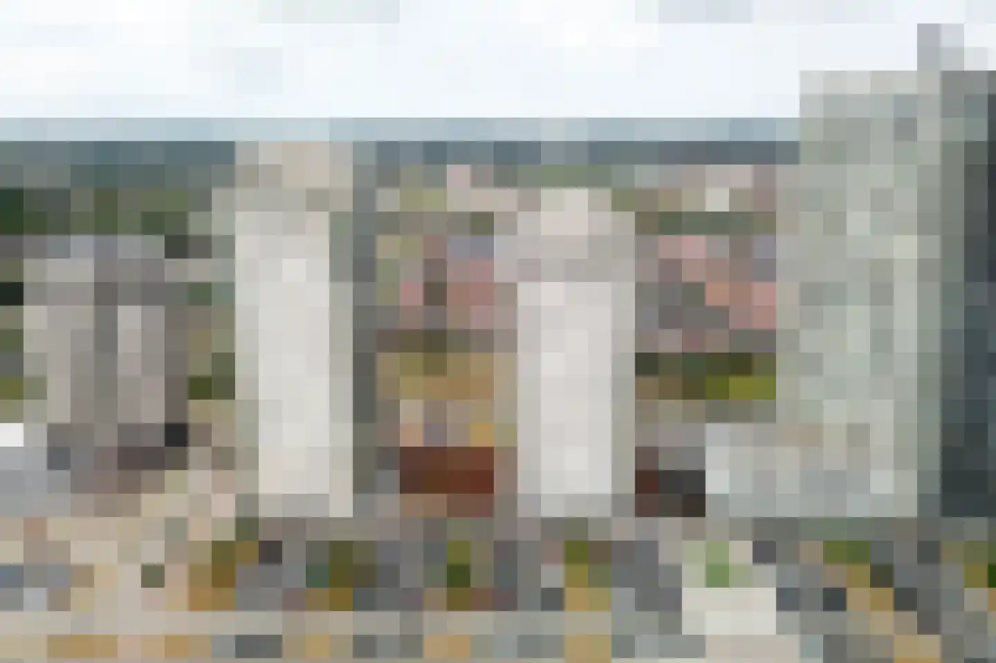 Hongerlandsedijk 1432 Spijkenisse thumbnail 44