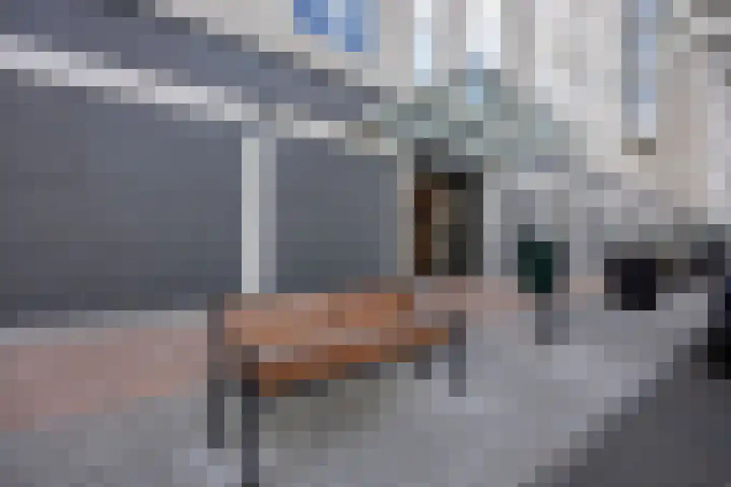Hongerlandsedijk 1432 Spijkenisse thumbnail 5