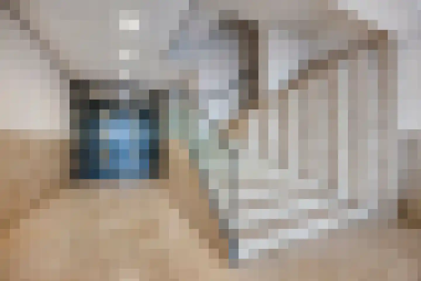 Hongerlandsedijk 1432 Spijkenisse thumbnail 7
