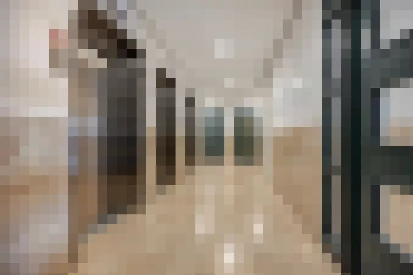 Hongerlandsedijk 1432 Spijkenisse thumbnail 8