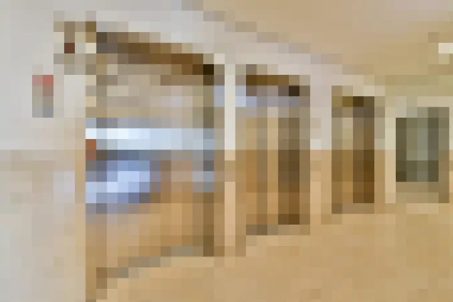 Hongerlandsedijk 1592 Spijkenisse thumbnail 14