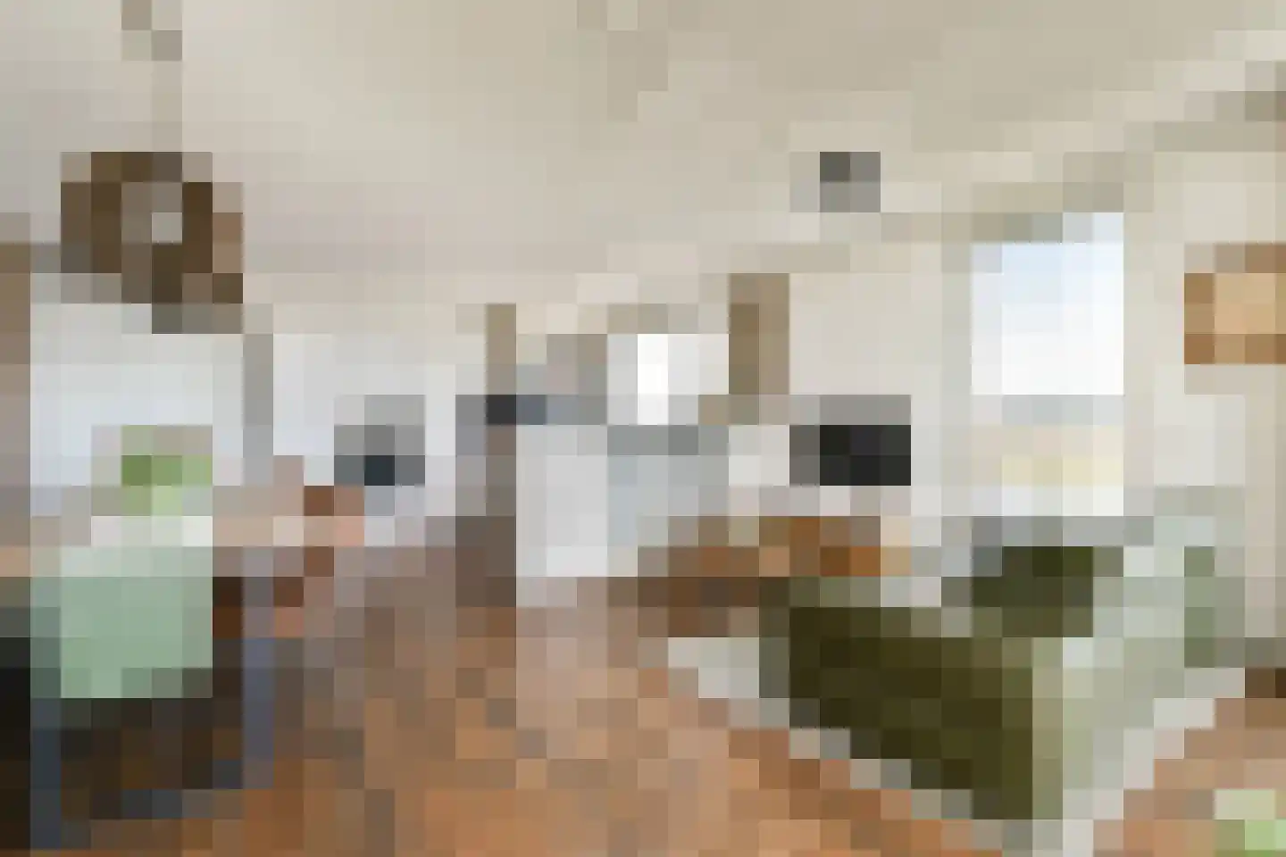 Hongerlandsedijk 1592 Spijkenisse thumbnail 7
