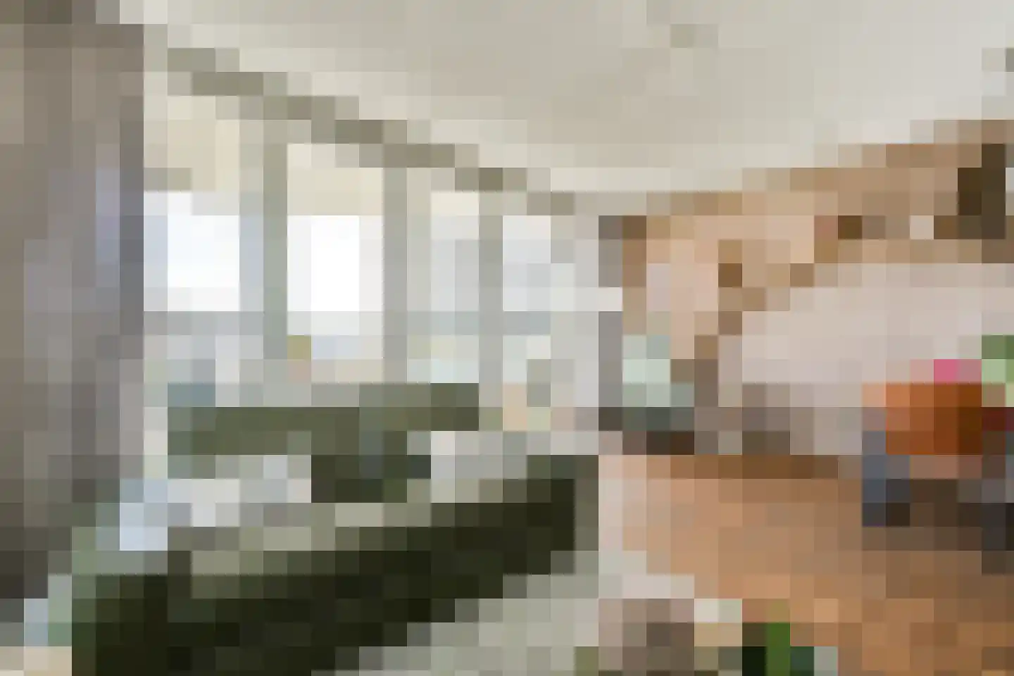 Hongerlandsedijk 1592 Spijkenisse thumbnail 8
