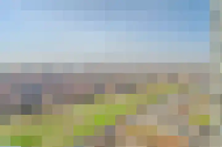Hongerlandsedijk 1600 Spijkenisse thumbnail 29