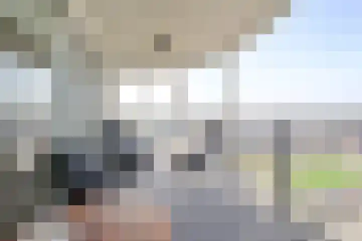 Hongerlandsedijk 1600 Spijkenisse thumbnail 30