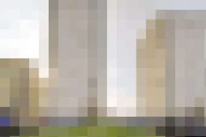 Hongerlandsedijk 1600 Spijkenisse thumbnail 5