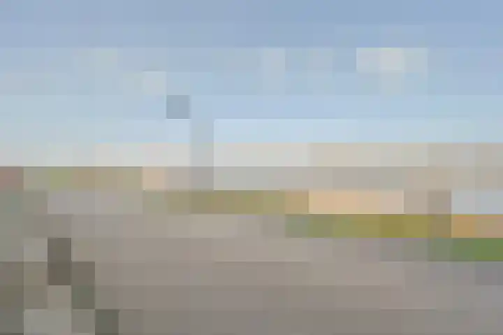 Hongerlandsedijk 1600 Spijkenisse thumbnail 6