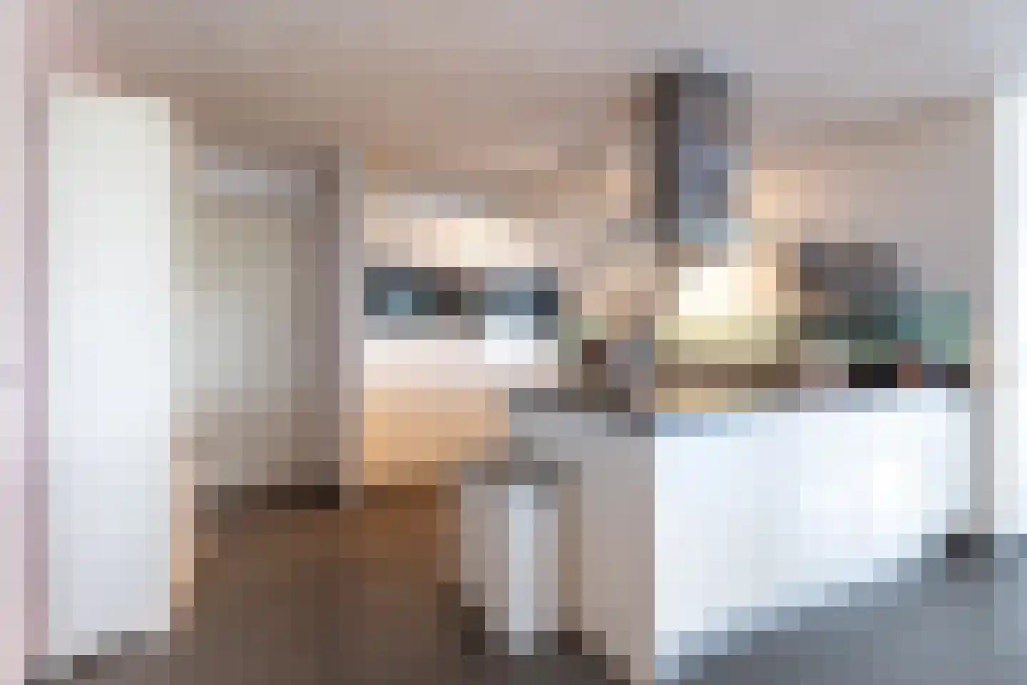 Hongerlandsedijk 162 Spijkenisse thumbnail 13