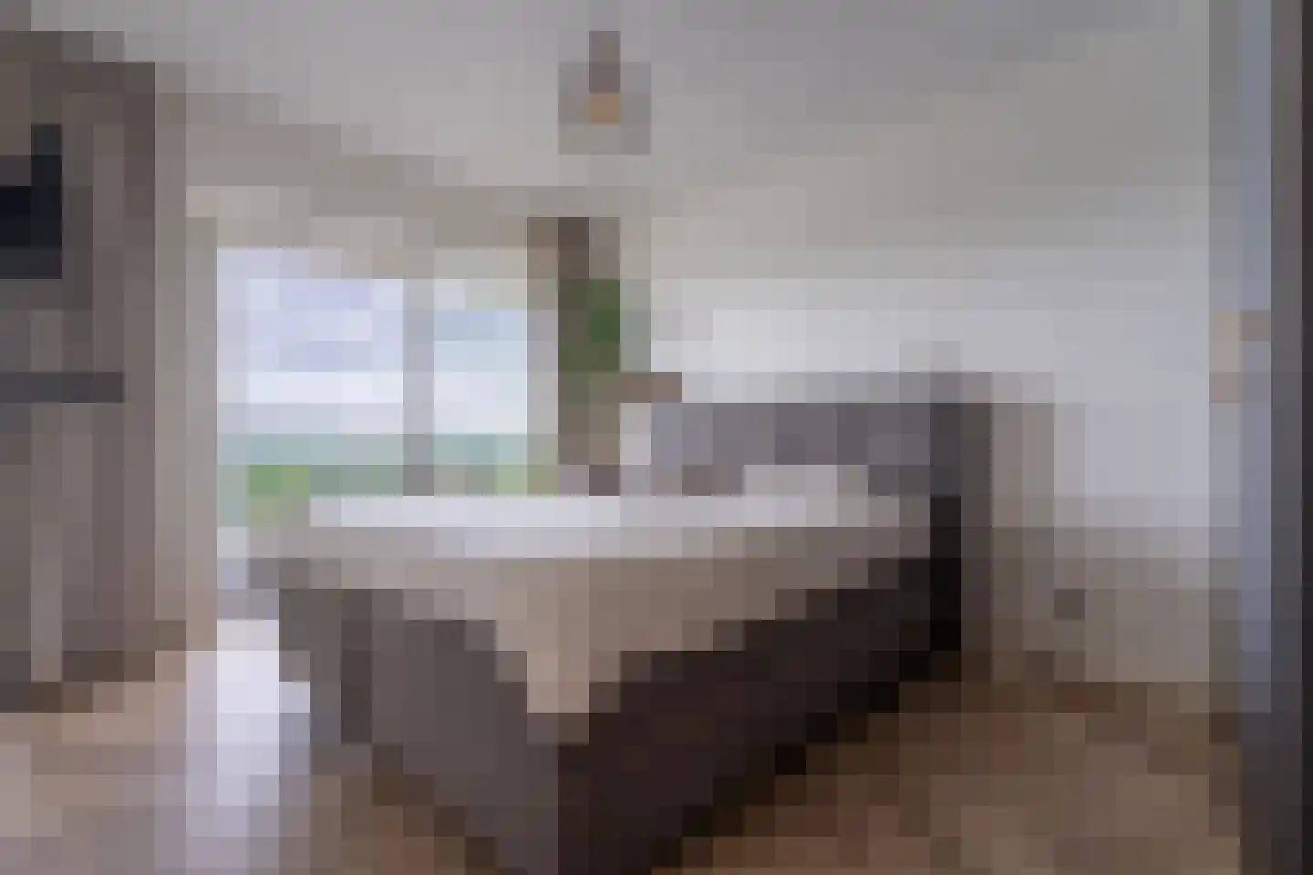 Hongerlandsedijk 162 Spijkenisse thumbnail 21