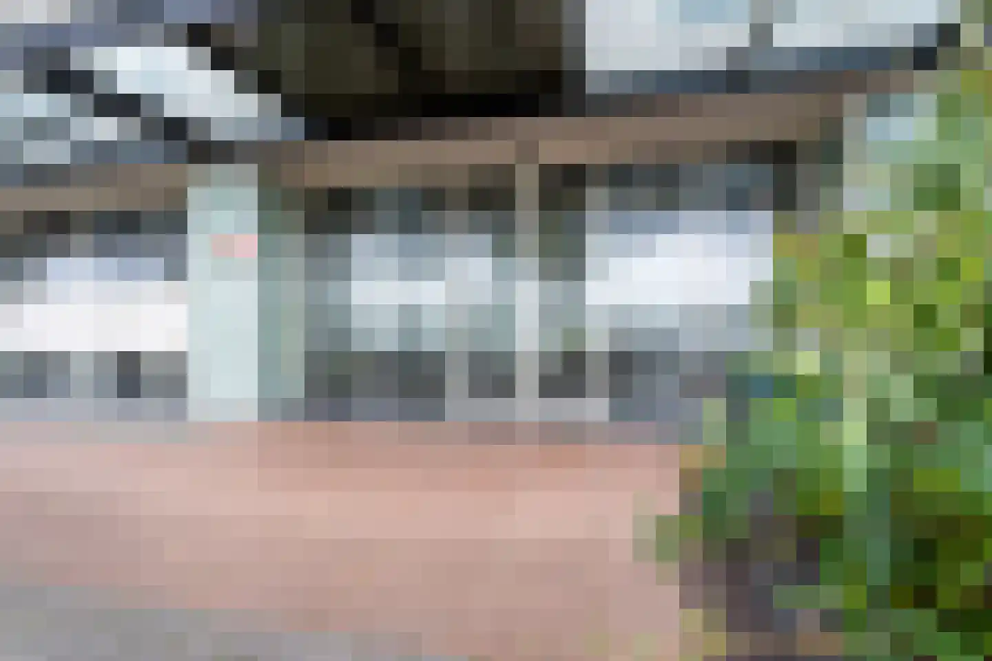Hongerlandsedijk 162 Spijkenisse thumbnail 8