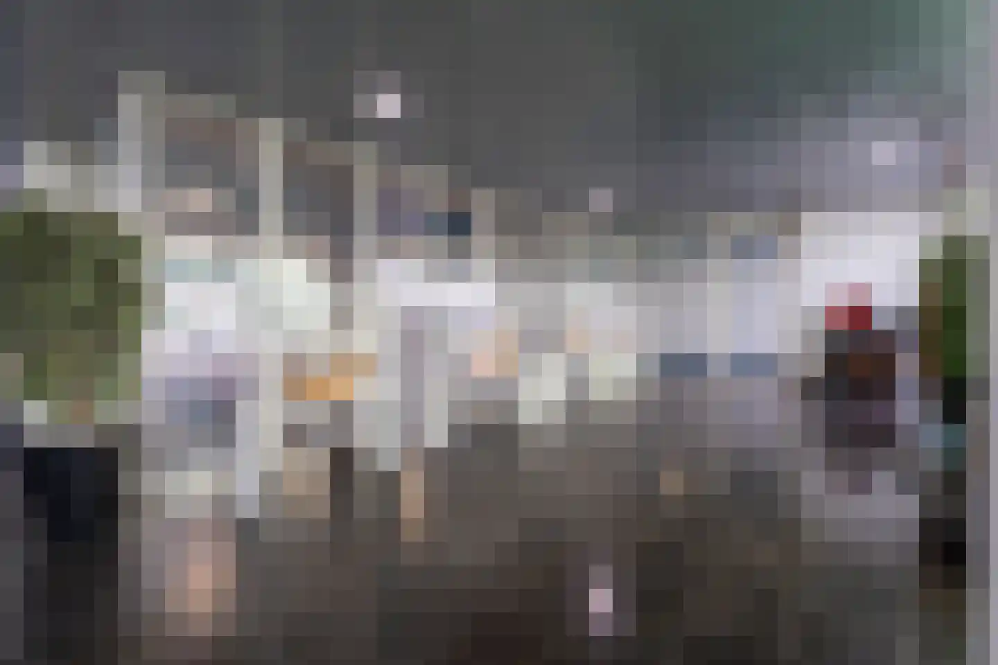 Hongerlandsedijk 162 Spijkenisse thumbnail 9