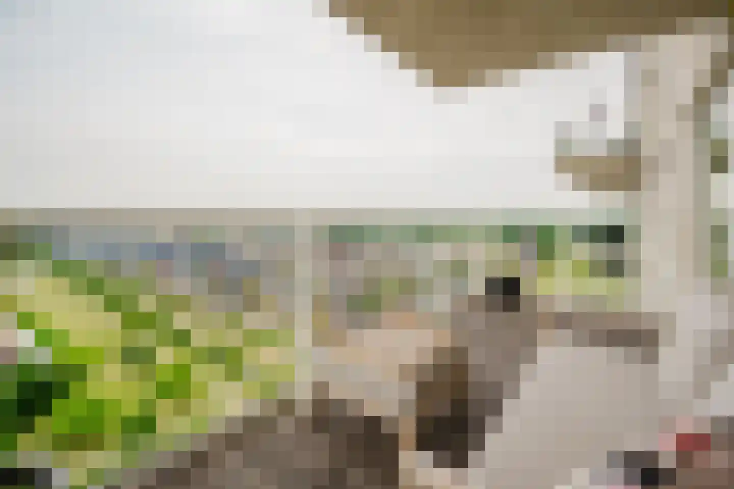 Hongerlandsedijk 172 Spijkenisse thumbnail 17