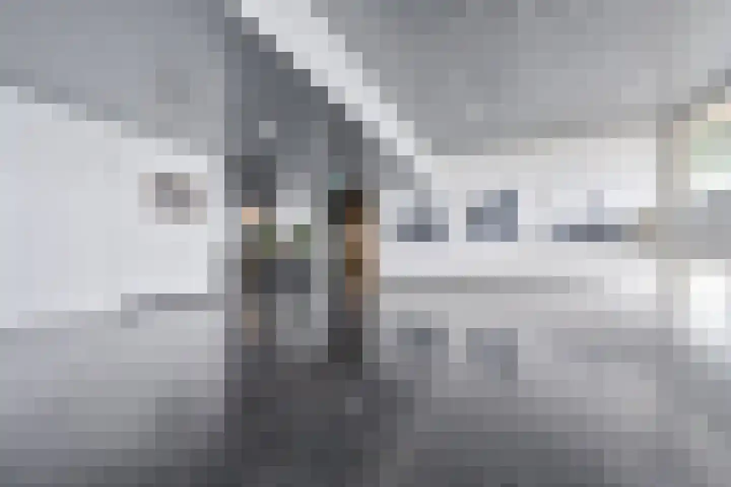 Hongerlandsedijk 180 Spijkenisse thumbnail 13