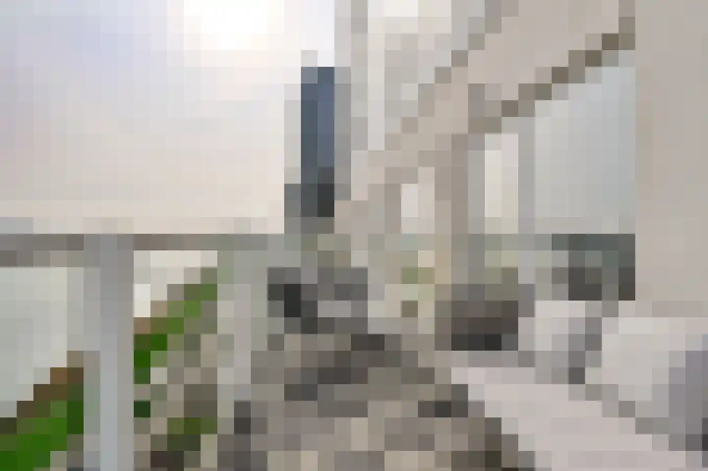Hongerlandsedijk 180 Spijkenisse thumbnail 5