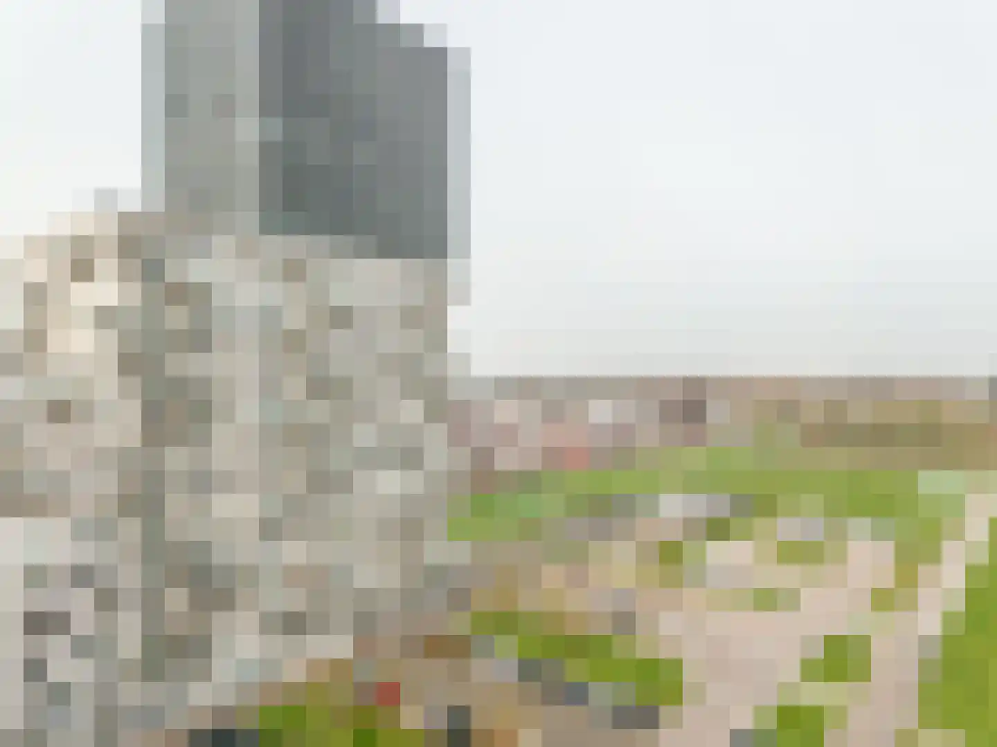 Hongerlandsedijk 180 Spijkenisse thumbnail 9