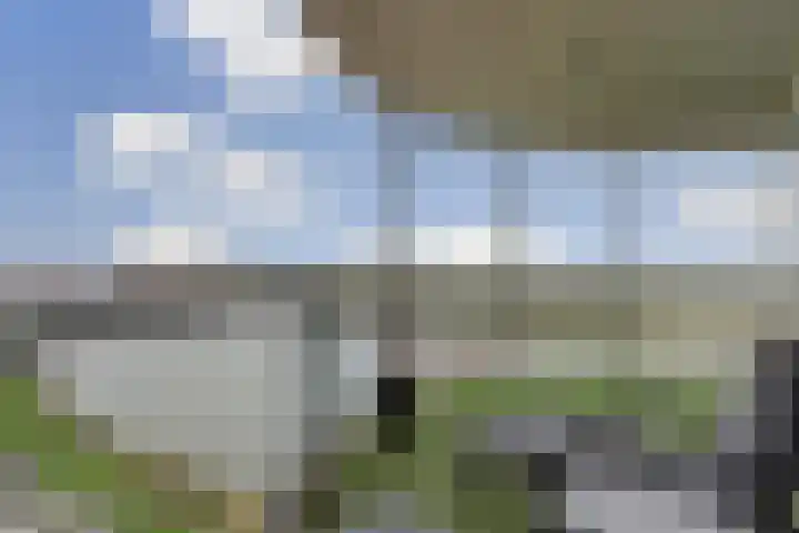 Hongerlandsedijk 1846 Spijkenisse thumbnail 12