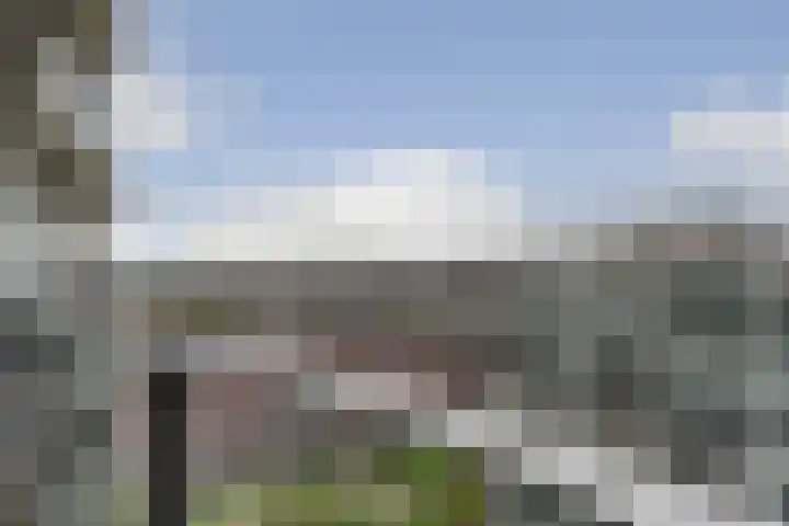 Hongerlandsedijk 1846 Spijkenisse thumbnail 13