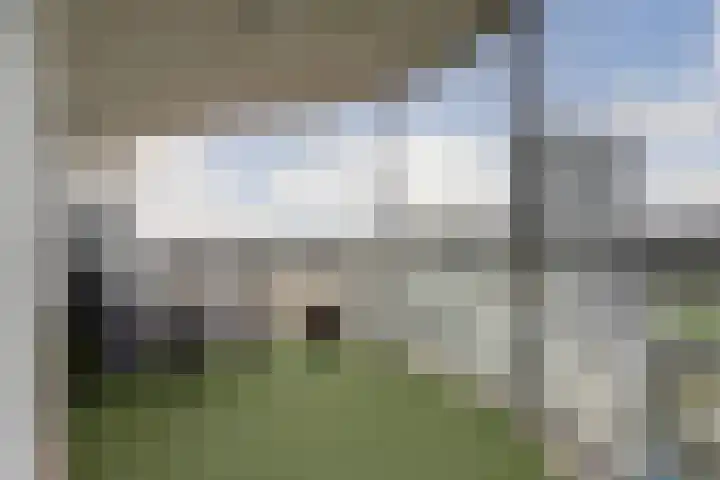 Hongerlandsedijk 1846 Spijkenisse thumbnail 14