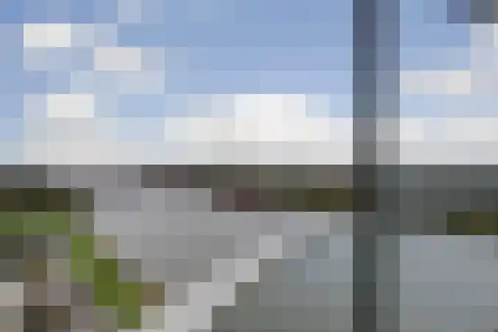 Hongerlandsedijk 1846 Spijkenisse thumbnail 15