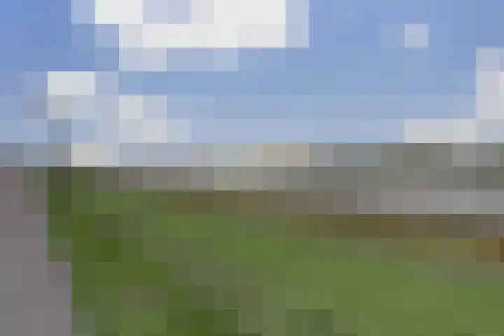 Hongerlandsedijk 1846 Spijkenisse thumbnail 37
