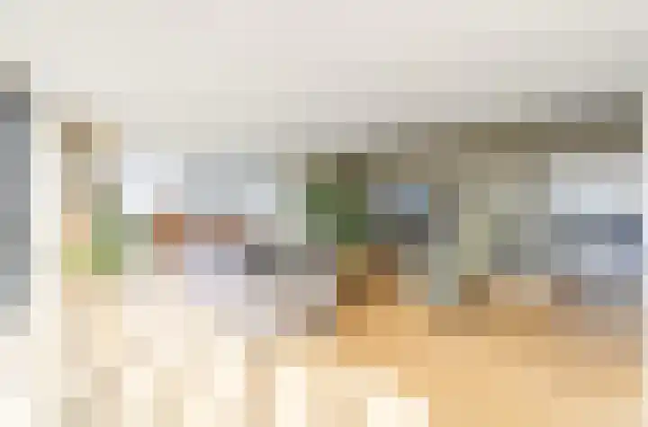 Hongerlandsedijk 260 Spijkenisse foto 2