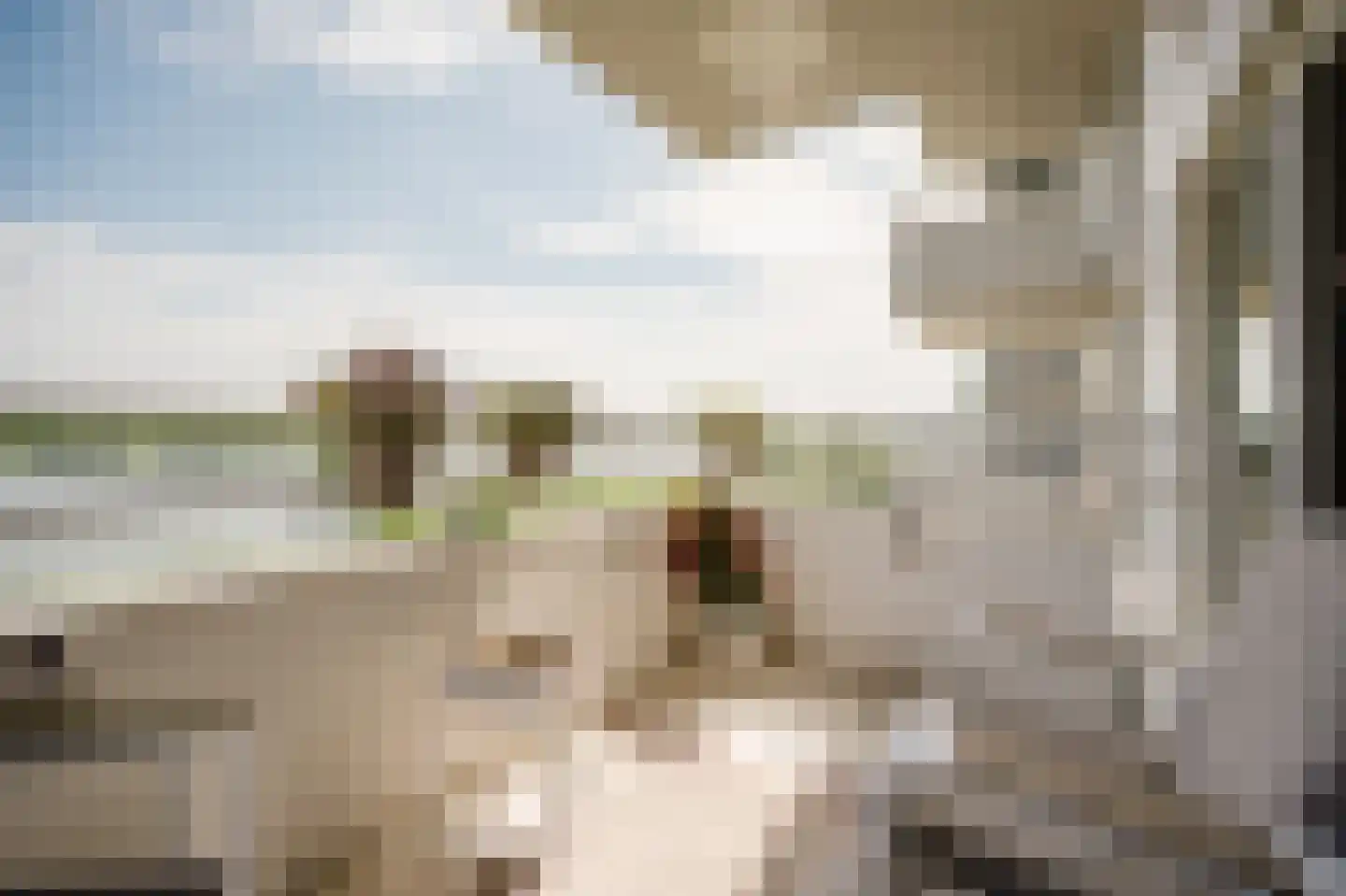 Hongerlandsedijk 292 Spijkenisse thumbnail 13
