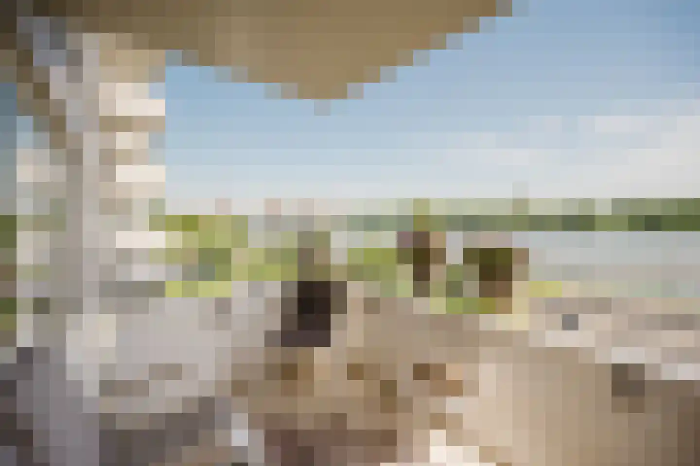 Hongerlandsedijk 292 Spijkenisse thumbnail 4