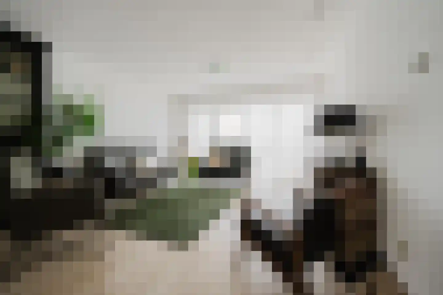 Hongerlandsedijk 320 Spijkenisse thumbnail 12