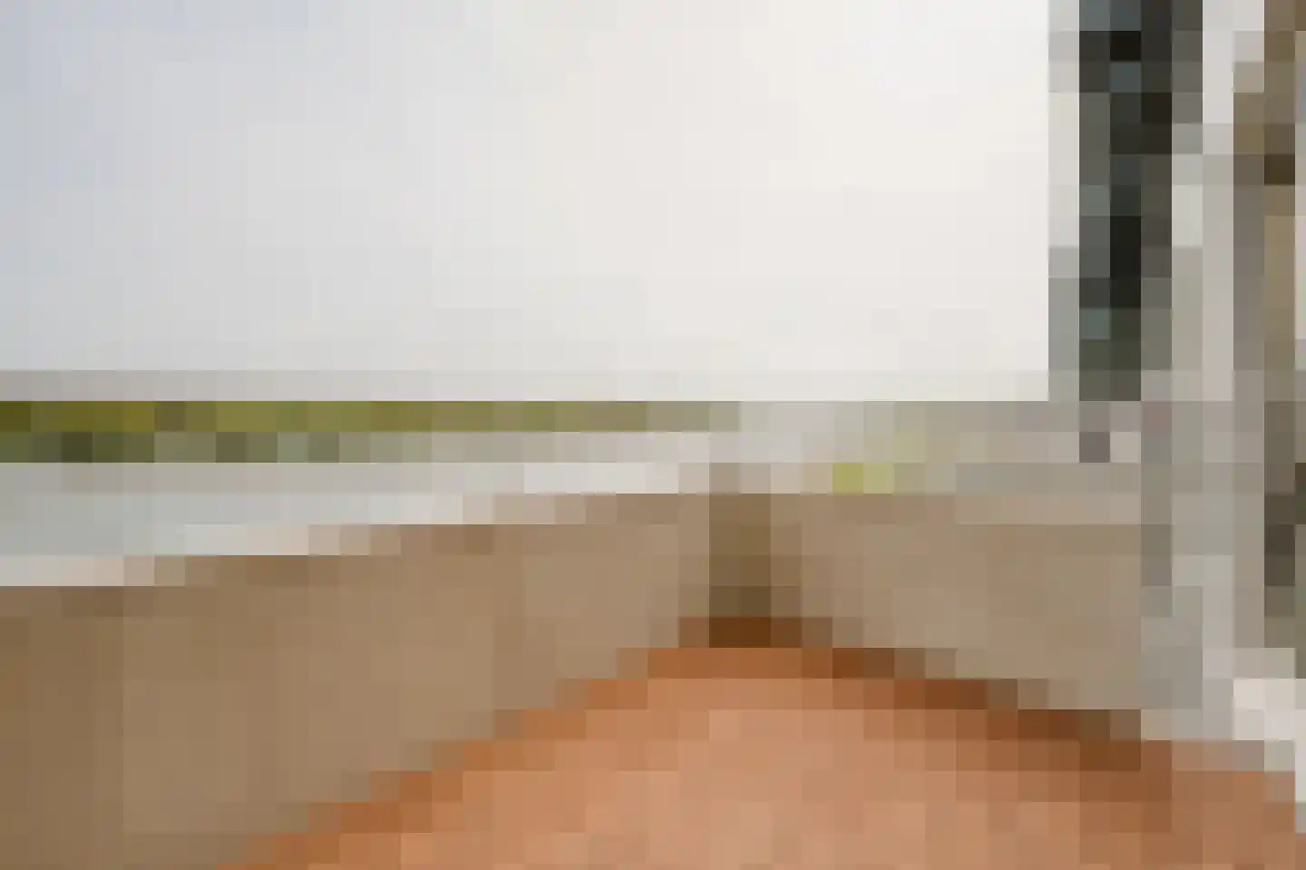 Hongerlandsedijk 320 Spijkenisse thumbnail 13