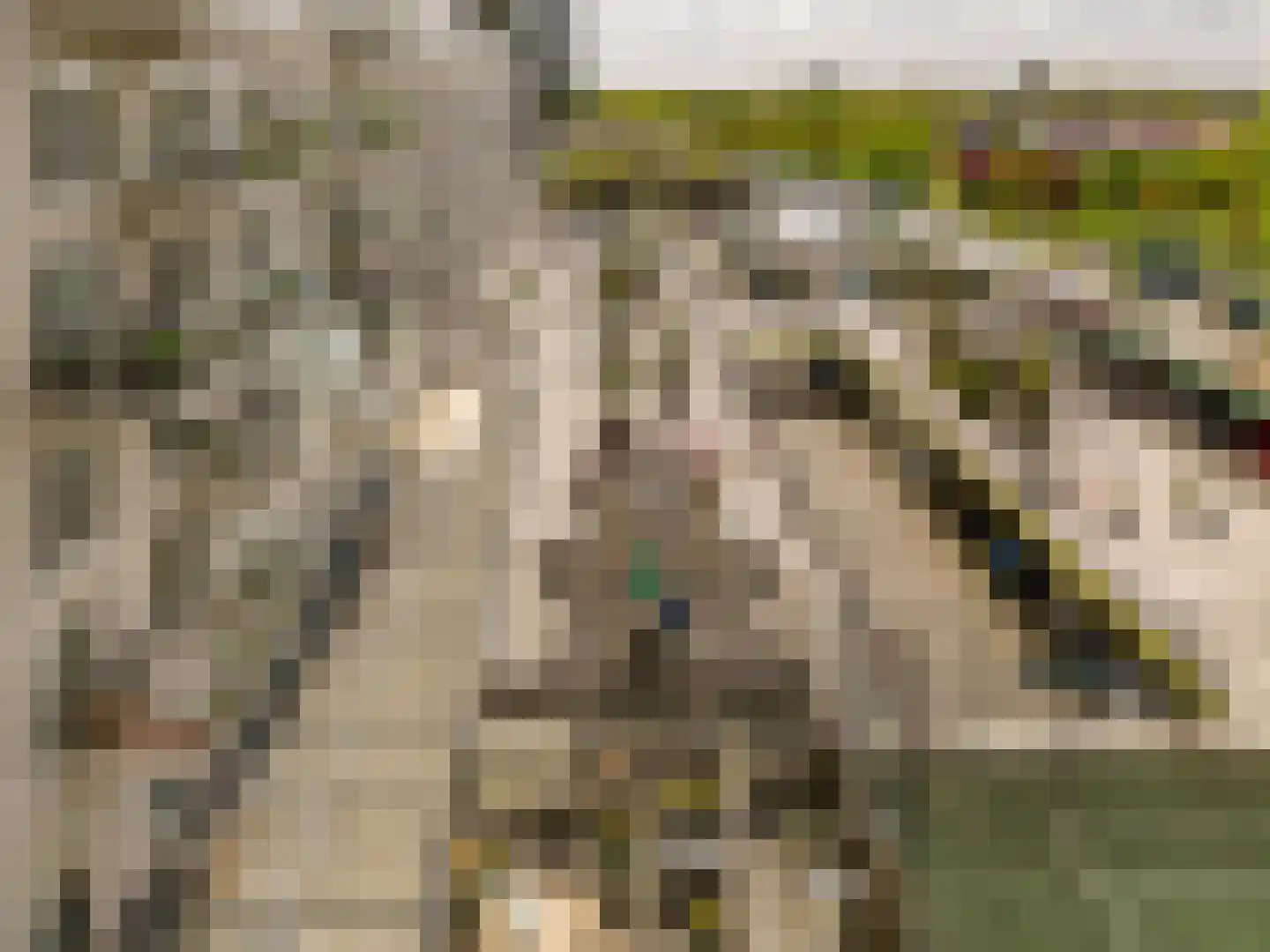 Hongerlandsedijk 320 Spijkenisse thumbnail 27