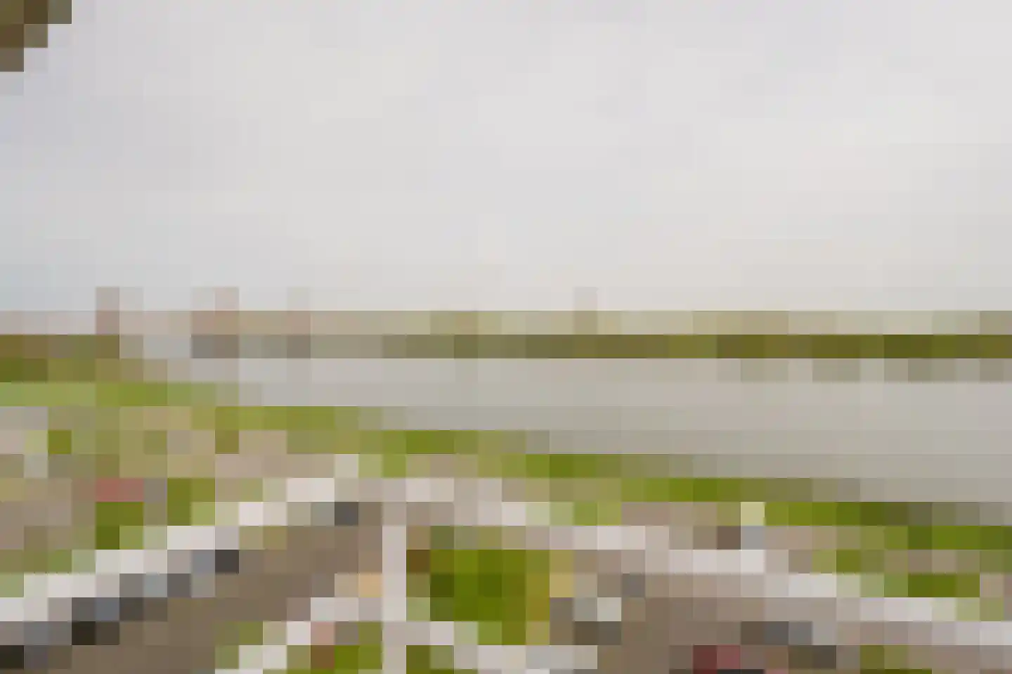 Hongerlandsedijk 320 Spijkenisse thumbnail 5