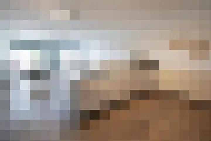 Hongerlandsedijk 356 Spijkenisse thumbnail 11