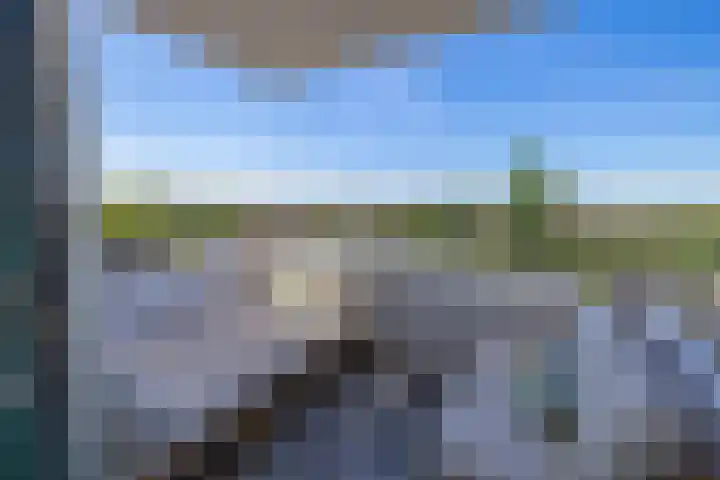 Hongerlandsedijk 356 Spijkenisse thumbnail 24
