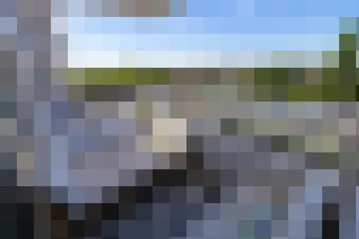 Hongerlandsedijk 356 Spijkenisse thumbnail 25