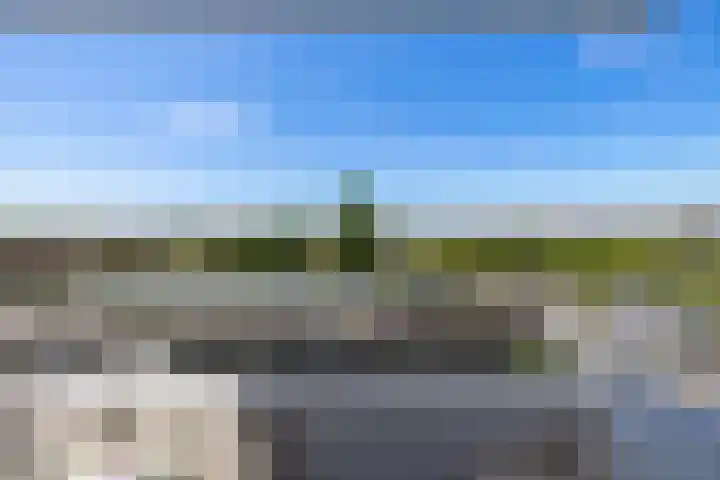 Hongerlandsedijk 356 Spijkenisse thumbnail 26