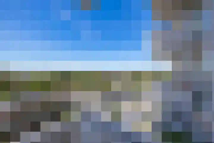 Hongerlandsedijk 356 Spijkenisse thumbnail 27