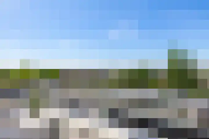 Hongerlandsedijk 356 Spijkenisse thumbnail 28