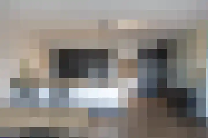 Hongerlandsedijk 356 Spijkenisse thumbnail 9