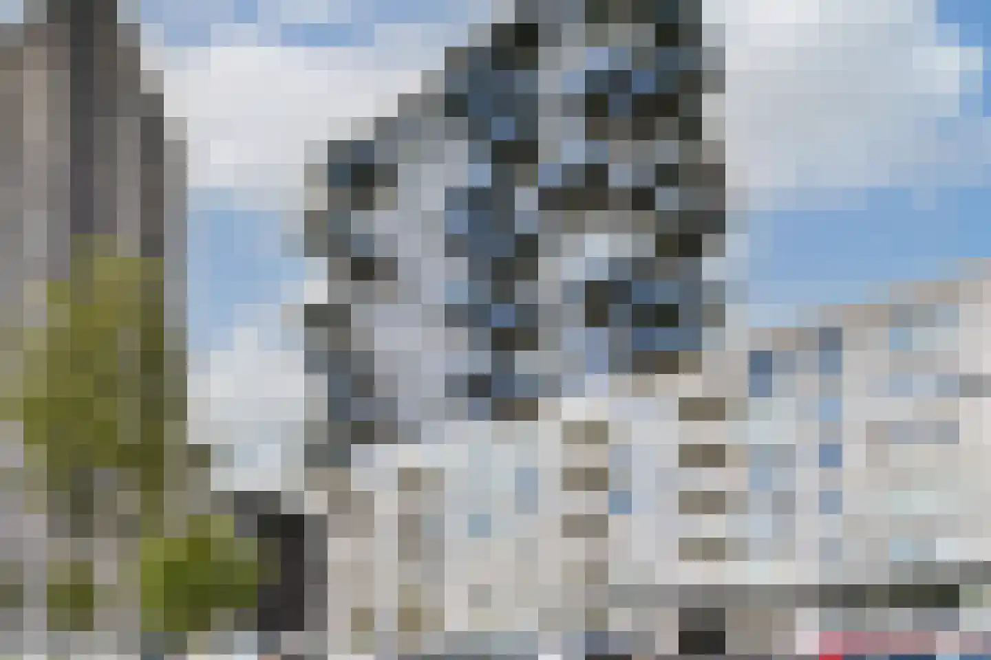 Hongerlandsedijk 378 Spijkenisse thumbnail 27