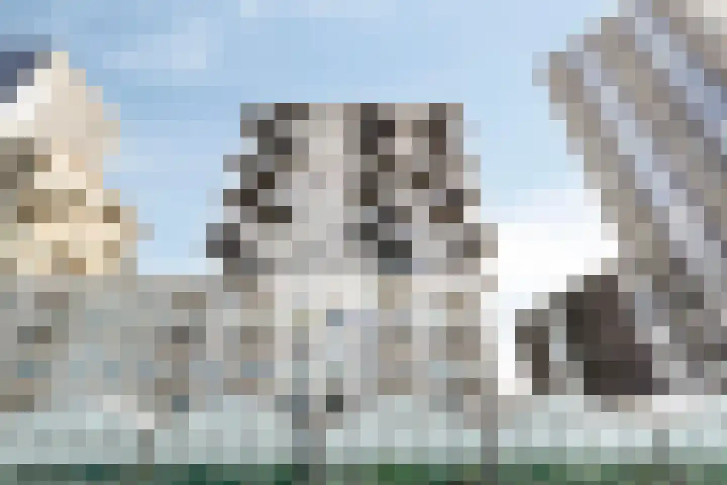 Hongerlandsedijk 406 Spijkenisse thumbnail 33